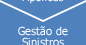 Gestão de Sinistros